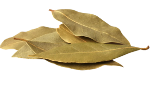 food supplier Ghaziabad