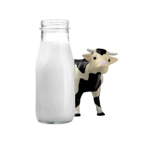 Cow Milk