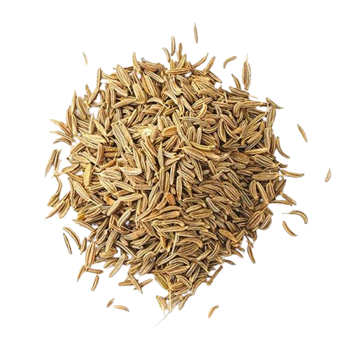 Cumin (Jeera)