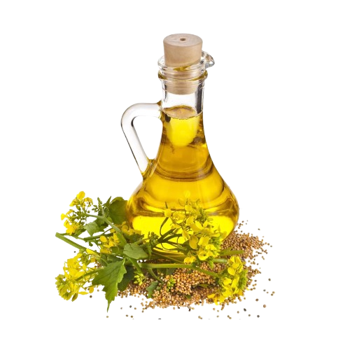 Yellow Mustard Oil (Cold Pressed)